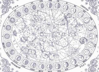 Фото - Обои Pierre Frey Galerie - 395338>