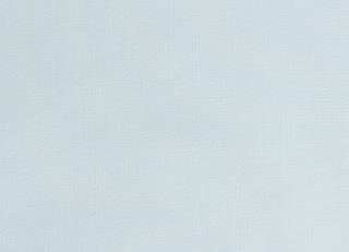 Фото - Ткани Dedar Razmir - 540965>