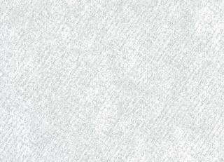 Фото - Обои Shinhan Nuevo - 555038>