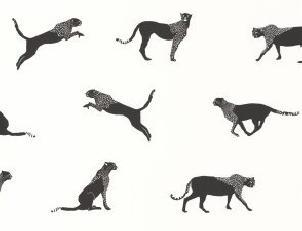 Фото - Обои Caselio Moonlight - 632025>