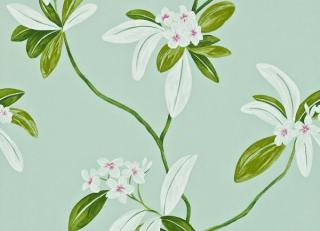 Фото - Обои Sanderson Richmond hill - 189777>