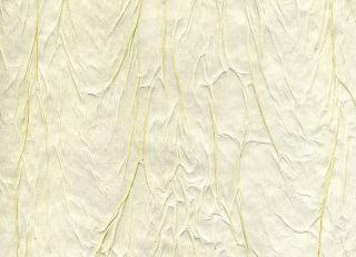 Фото - Обои Arlin Velawall - 342136>