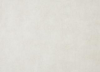 Фото - Обои Caselio Curiosity - 223591>