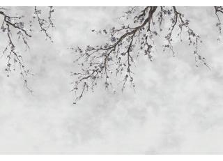 Фото - Обои Ada Wall Fiji Mural Collection - 528980>