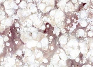 Фото - Обои Arlin Sweet Stones - 342005>