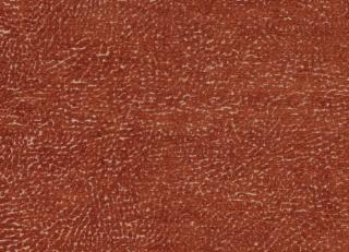 Фото - Ткани Clarke&Clarke Avalon - 437134>