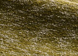 Фото - Ткани Misia Madame Reve - 569399>