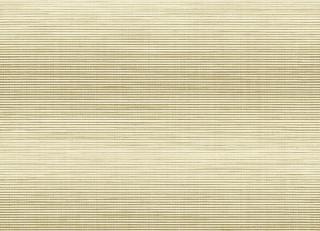 Фото - Обои KT Exclusive Grasseffects - 345588>