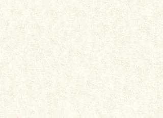 Фото - Обои Paper Partnership Patterdale - 485517>