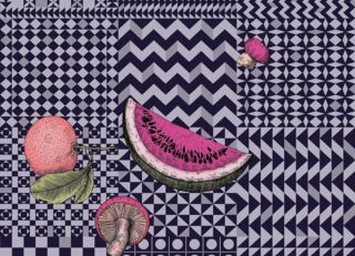 Фото - Обои Cole & Son Fornasetti Senza Tempo II - 626697>