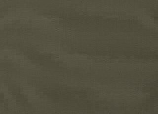 Фото - Ткани Dedar Forever - 409266>