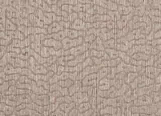 Фото - Обои Pierre Frey Les Dessins 2 - 309753>