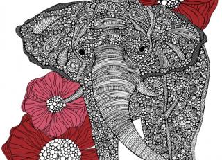 Фото - Обои Ortograf Валентина Рамос - 478312>