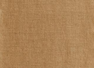 Фото - Ткани Dedar Adelphi - 505255>