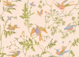 Фото - Обои Cole & Son Selection of Hummingbirds - 626726>