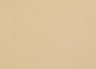 Фото - Ткани Jane Churchill Aero - 456481>