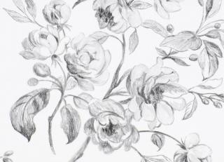 Фото - Обои Designers Guild Flowers volume 1 - 441812>