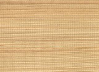 Фото - Ткани CMO Paris Palm Tree 2 - 551135>