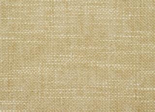 Фото - Ткани Sanderson Vibeke - 451997>