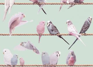 Фото - Обои Koziel Kids & teenagers - 323850>