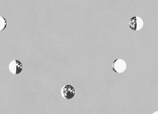 Фото - Обои Coordonne Instant - 580751>