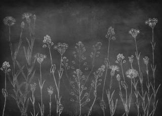 Фото - Обои Coordonne Instant - 580762>