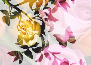 Фото - Обои Mr Perswall Creativity & Photo Art - 235086>