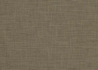 Фото - Ткани Clarke&Clarke Tussah & Seda - 362975>