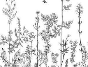 Фото - Обои Caselio Moonlight - 632043>