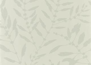 Фото - Обои Harlequin Anthozoa - 342822>