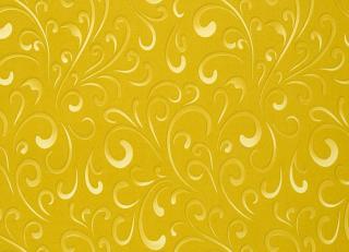 Фото - Обои Caselio Power - 231374>