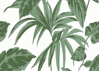 Фото - Обои Graham & Brown Explorer - 546241>