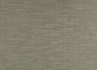 Фото - Ткани Studio G Savannah - 329395>