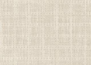 Фото - Ткани Dominique Kieffer Tricotage - 574306>