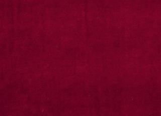 Фото - Ткани Clarke&Clarke Gustavo - 403411>