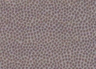 Фото - Обои Arlin Ambrosia - 627887>