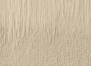 Фото - Обои Elitis Bois sculpte - 556986>