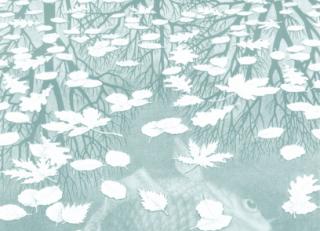 Фото - Обои Jannelli & Volpi M.C.Escher - 440317>