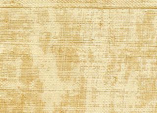 Фото - Обои Elitis Eldorado - 258058>