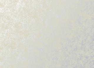 Фото - Обои Tiffany Design Metal Silk - 242451>