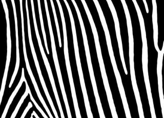 Фото - Обои Mr Perswall Nostalgic - 234909>