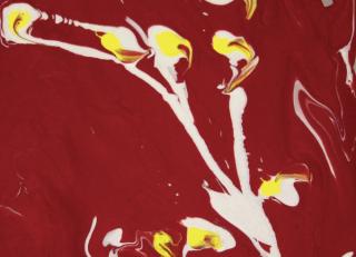 Фото - Обои Ortograf Санникова Татьяна - 479329>