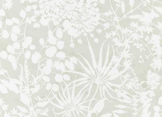 Фото - Обои Harlequin Anthozoa - 342803>