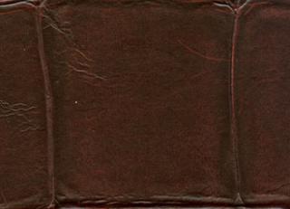 Фото - Обои Elitis Anguille - 257738>