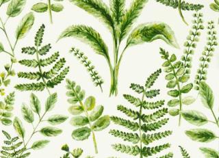 Фото - Обои Clarke&Clarke Marianne - 565875>