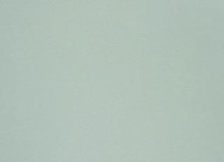 Фото - Ткани Designers Guild Cara - 272018>