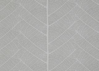 Фото - Обои Sandudd Rolleri 7 - 422413>