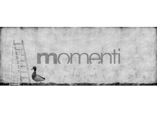 Фото - Обои Momenti Animal Collection - 317650>