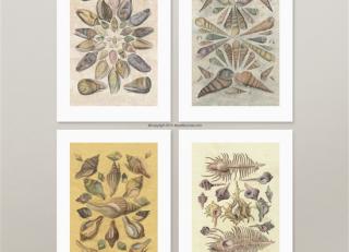 Фото - Обои MuralSources Print Shop collection - 401758>