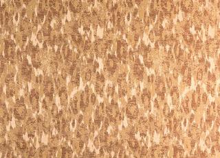 Фото - Обои Calcutta Botanic - 211900>